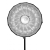 Newell 85 cm - softbox środek 1